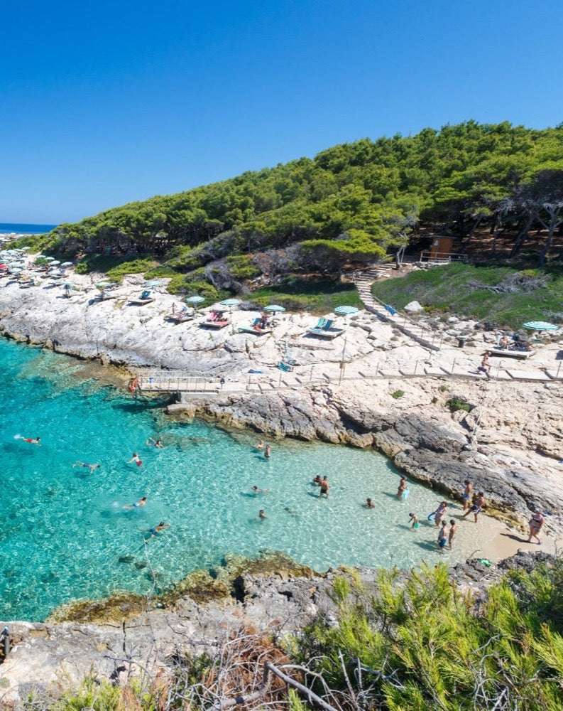TCI Isole Tremiti - Puglia (FG)