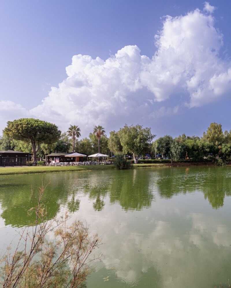 TH Marina di Sibari - Marina di Sibari (CS) - Calabria