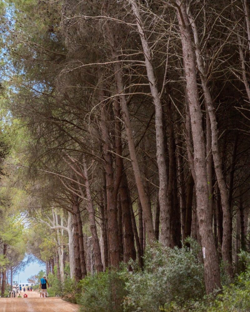 TH Marina di Pisticci (MT) - Basilicata