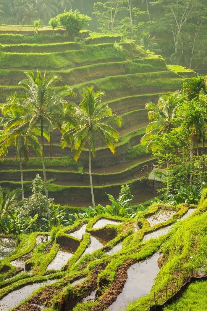 MAGICA INDONESIA - Speciale Pasqua con volo da roma dal 26 marzo al 06 aprile