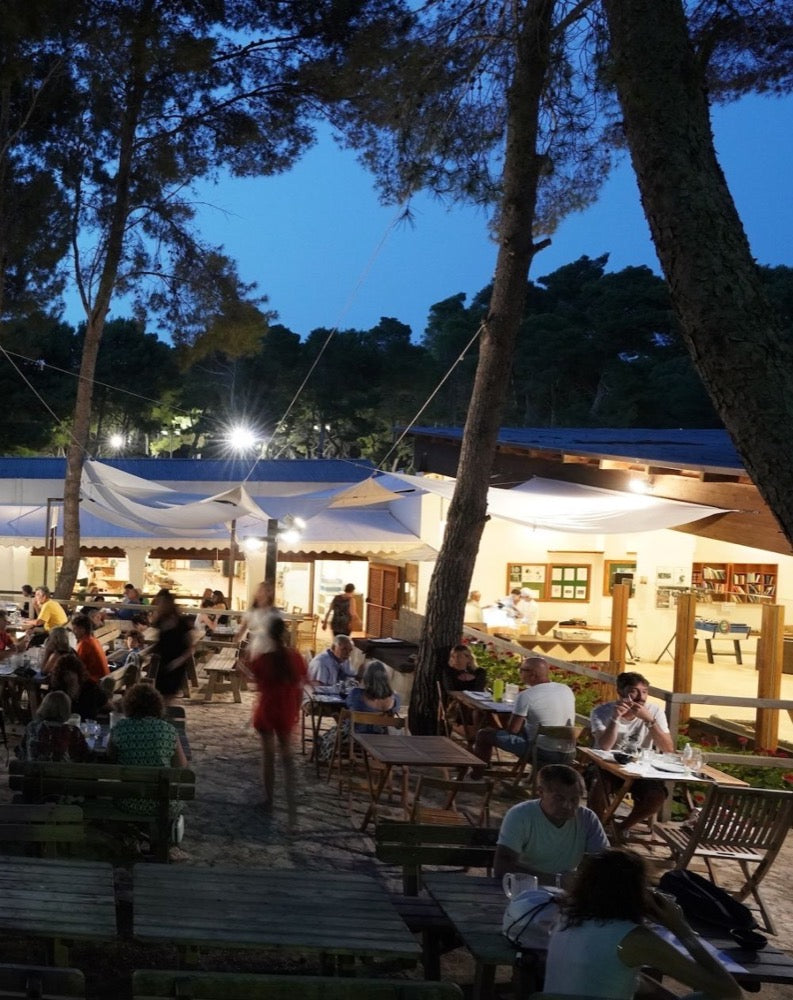 TCI Isole Tremiti - Puglia (FG)