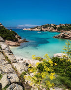 TCI La Maddalena (SS) - Sardegna