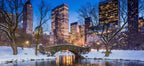 NEW YORK - CHRISTMAS LIGHTS del 29 Novembre 2026
