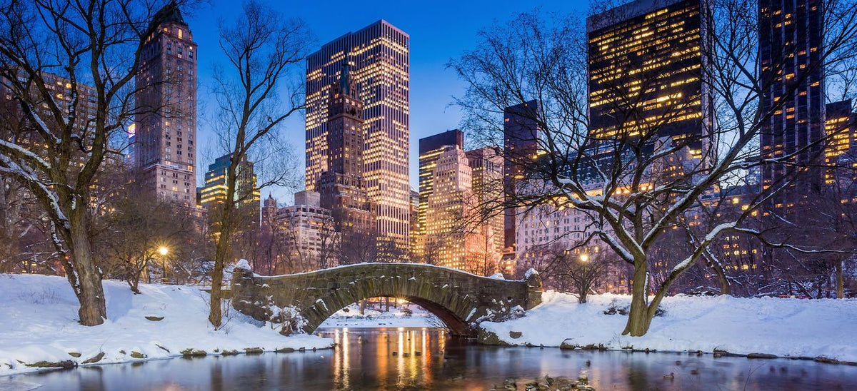 NEW YORK - CHRISTMAS LIGHTS del 29 Novembre 2026