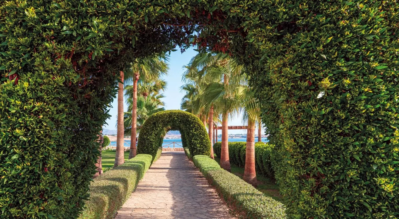 EGITTO - SHARM EL SHEIKH Veraclub Sharm