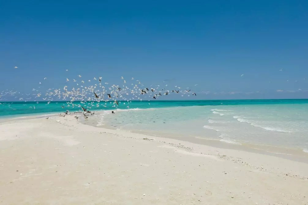 ZANZIBAR - KIWENGWA Veraclub Zanzibar Village