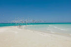 ZANZIBAR - KIWENGWA Veraclub Zanzibar Village