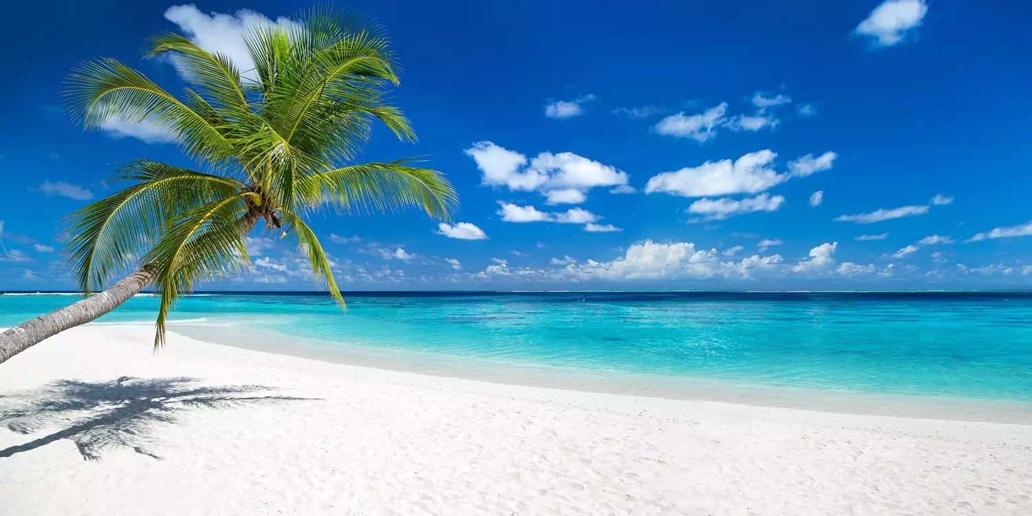 MALDIVE - ATOLLO DI MALE NORD Experience Veraclub dusitD2 Feydhoo Maldives