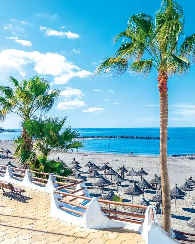 TENERIFE - PLAYA DE LAS AMERICAS Experience Veraclub Gala