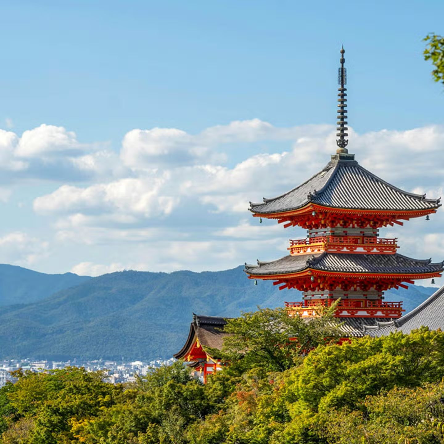 GIAPPONE IN FIORE - Speciale Pasqua con volo da Roma dal 25 marzo al 07 aprile